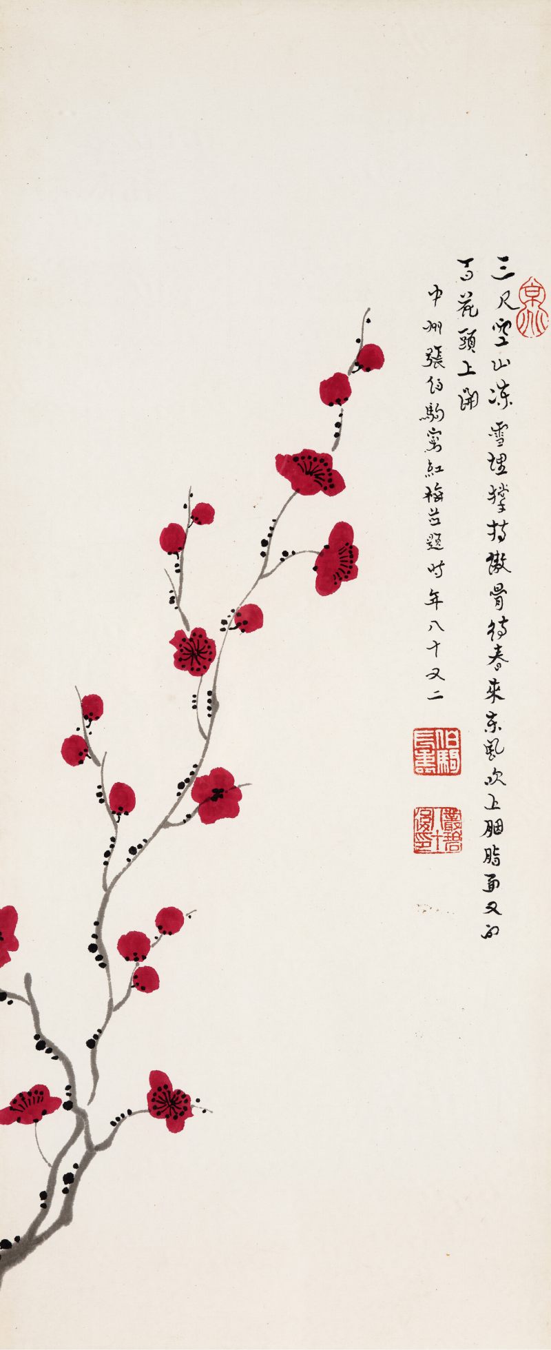 张伯驹 红梅