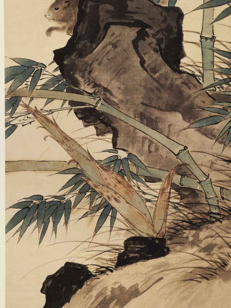 田世光 竹鼠 - 图7