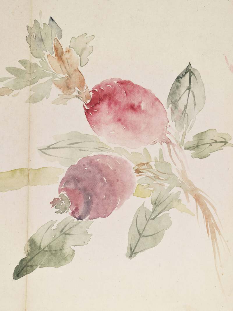 己巳（1929年）作 叶瀚 花鸟册 - 图8