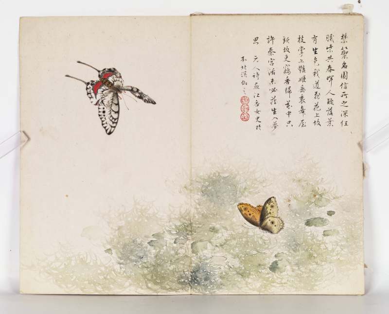 己巳（1929年）作 叶瀚 花鸟册 - 图11