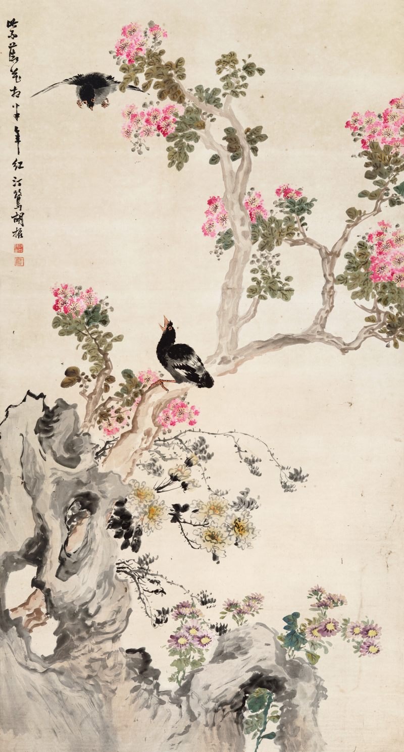 胡汀鹭 紫薇八哥