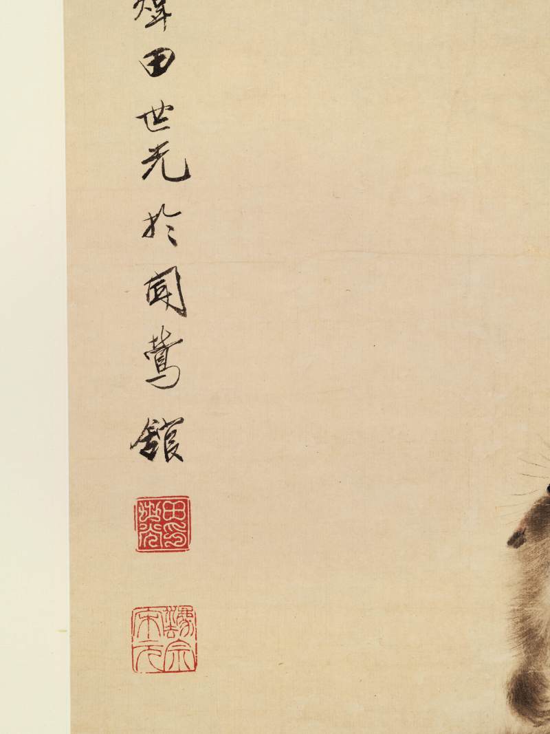 田世光 竹鼠 - 图10