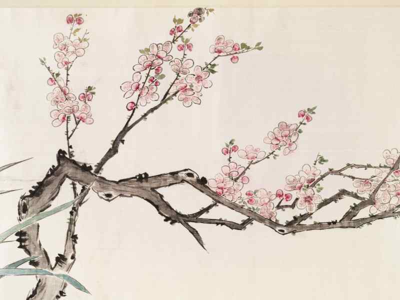 梅兰芳 梅兰芬芳 - 图10