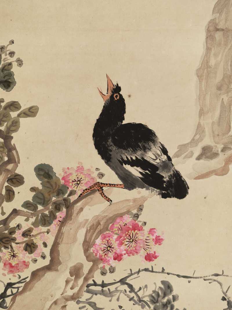 胡汀鹭 紫薇八哥 - 图4