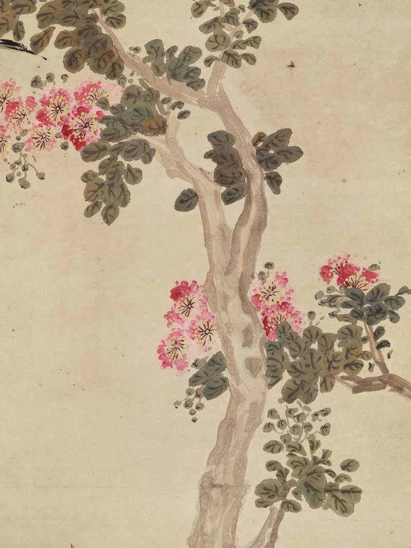 胡汀鹭 紫薇八哥 - 图5