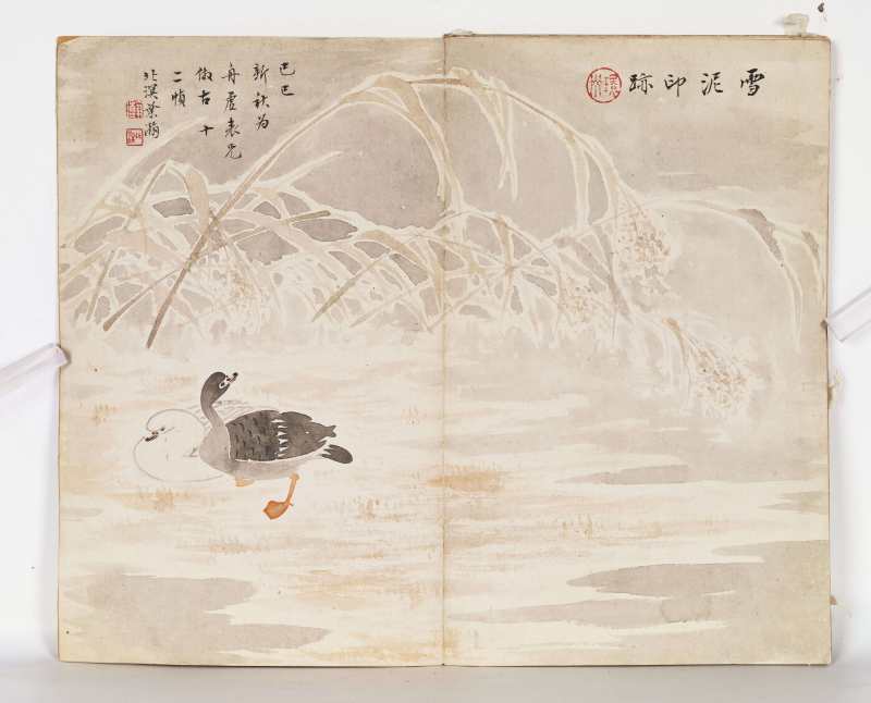 己巳（1929年）作 叶瀚 花鸟册 - 图15