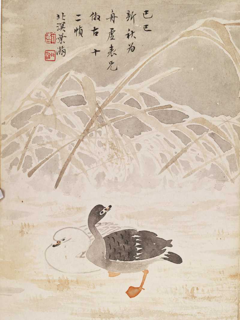 己巳（1929年）作 叶瀚 花鸟册 - 图16