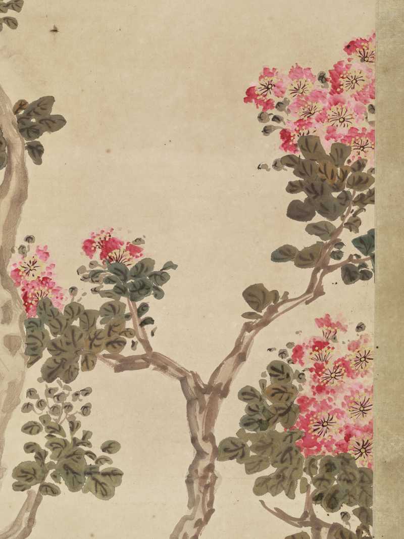 胡汀鹭 紫薇八哥 - 图6