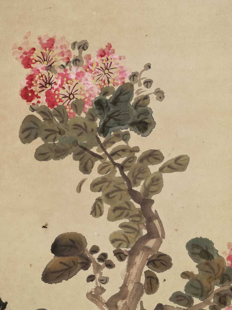 胡汀鹭 紫薇八哥 - 图9