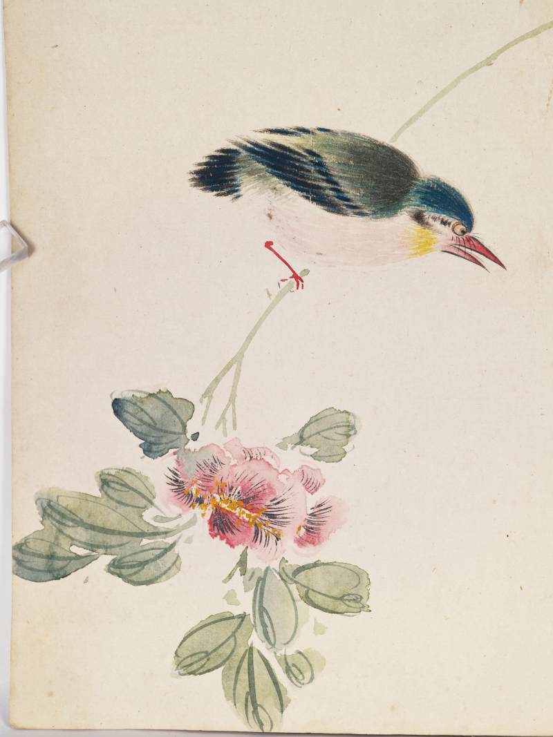 己巳（1929年）作 叶瀚 花鸟册 - 图23