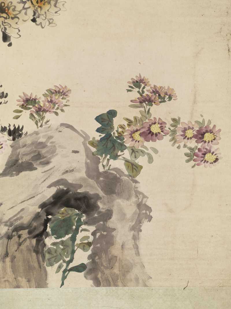 胡汀鹭 紫薇八哥 - 图13