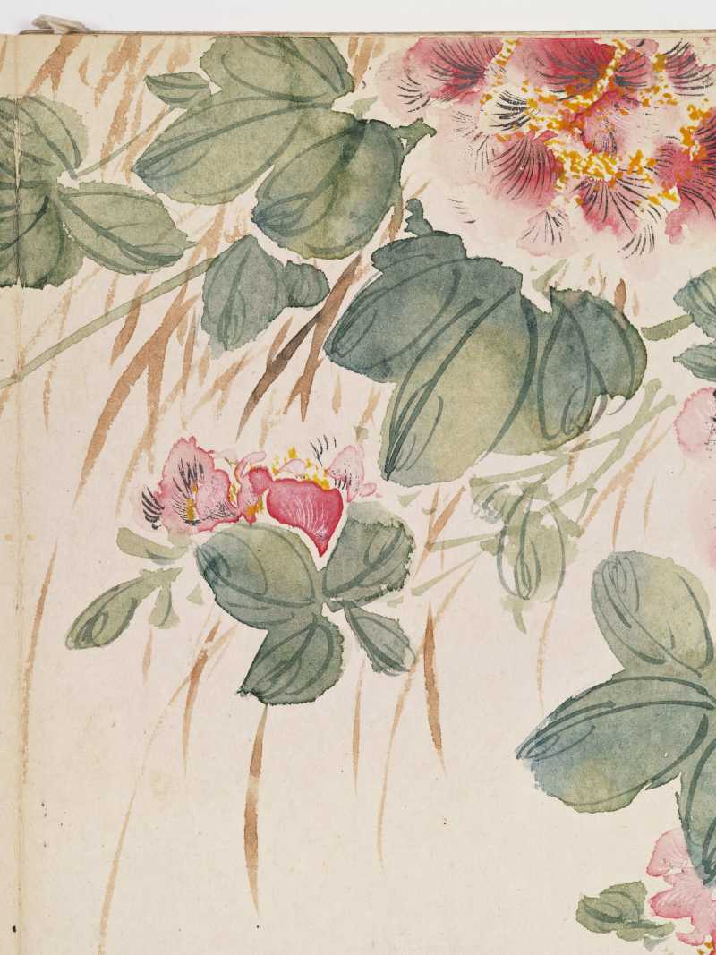 己巳（1929年）作 叶瀚 花鸟册 - 图25