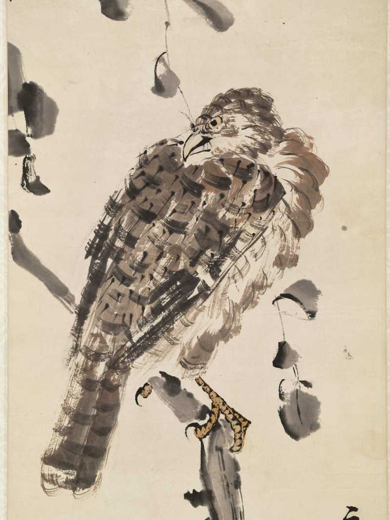 辛未（1931年）作 王梦白 苍鹰图 - 图3