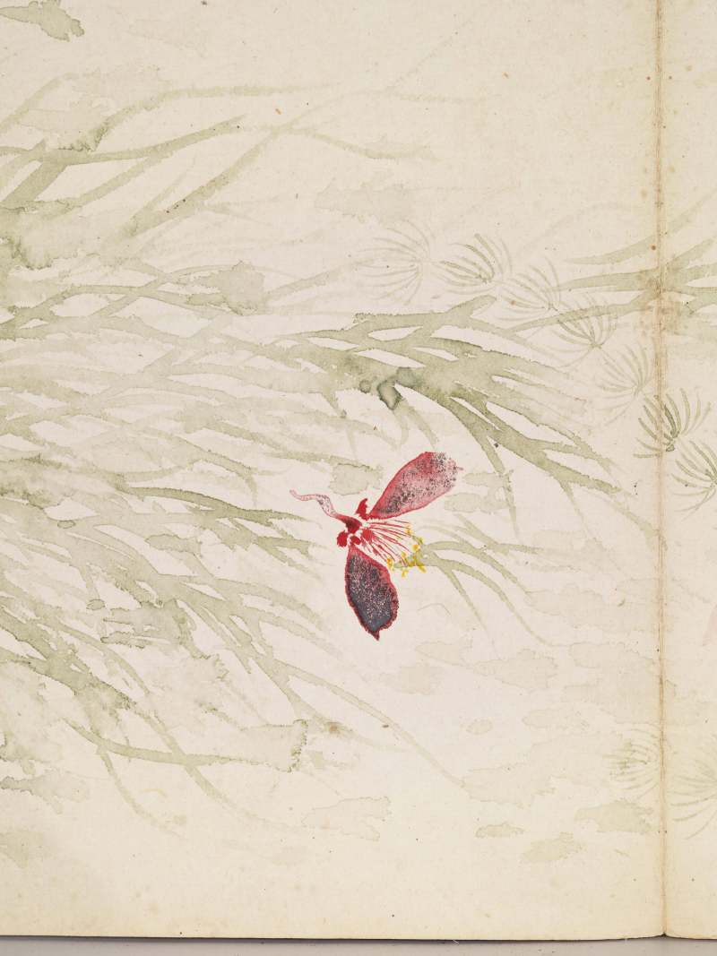 己巳（1929年）作 叶瀚 花鸟册 - 图28