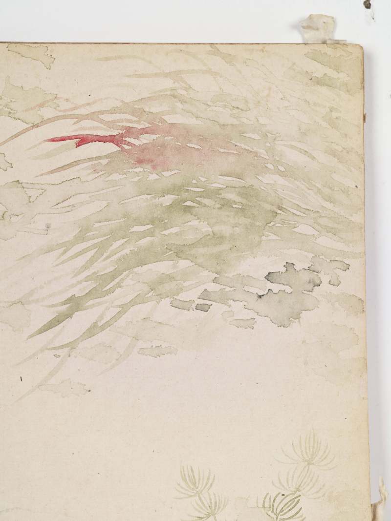 己巳（1929年）作 叶瀚 花鸟册 - 图30