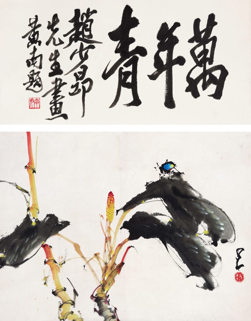 赵少昂 万年青