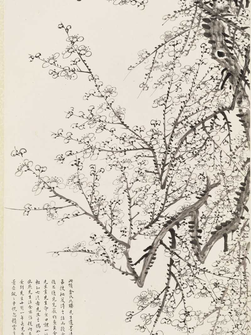 金城 墨梅 - 图4
