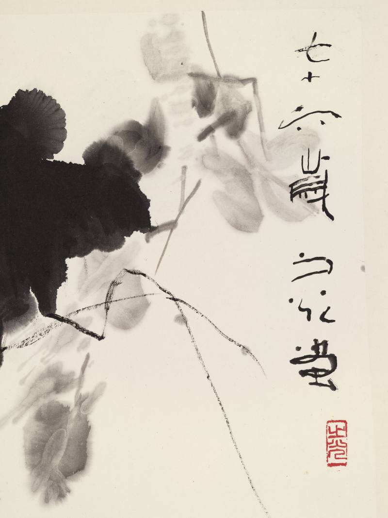 谢之光 葡萄 - 图5