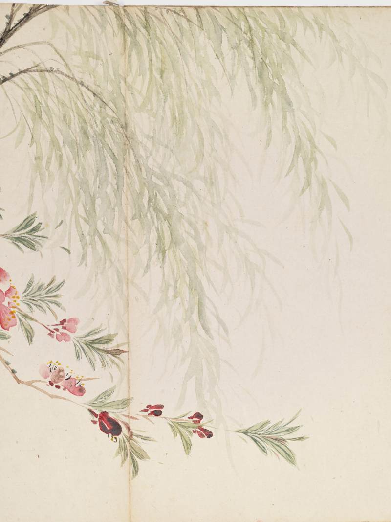 己巳（1929年）作 叶瀚 花鸟册 - 图34