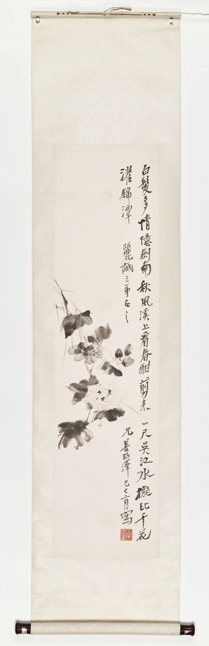 己巳（1929年）作 张善孖 芙蓉 - 图2