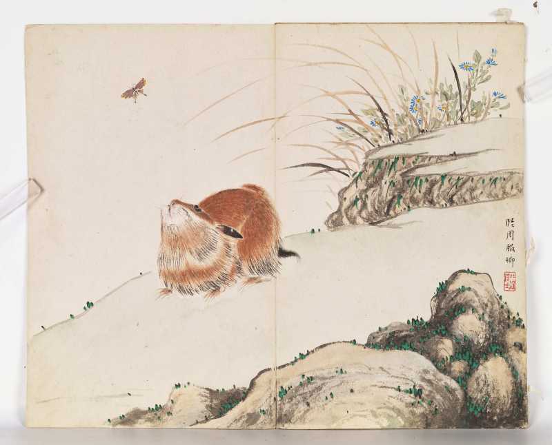 己巳（1929年）作 叶瀚 花鸟册 - 图36