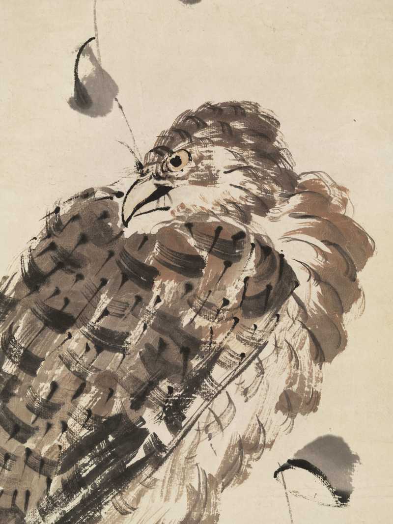 辛未（1931年）作 王梦白 苍鹰图 - 图5