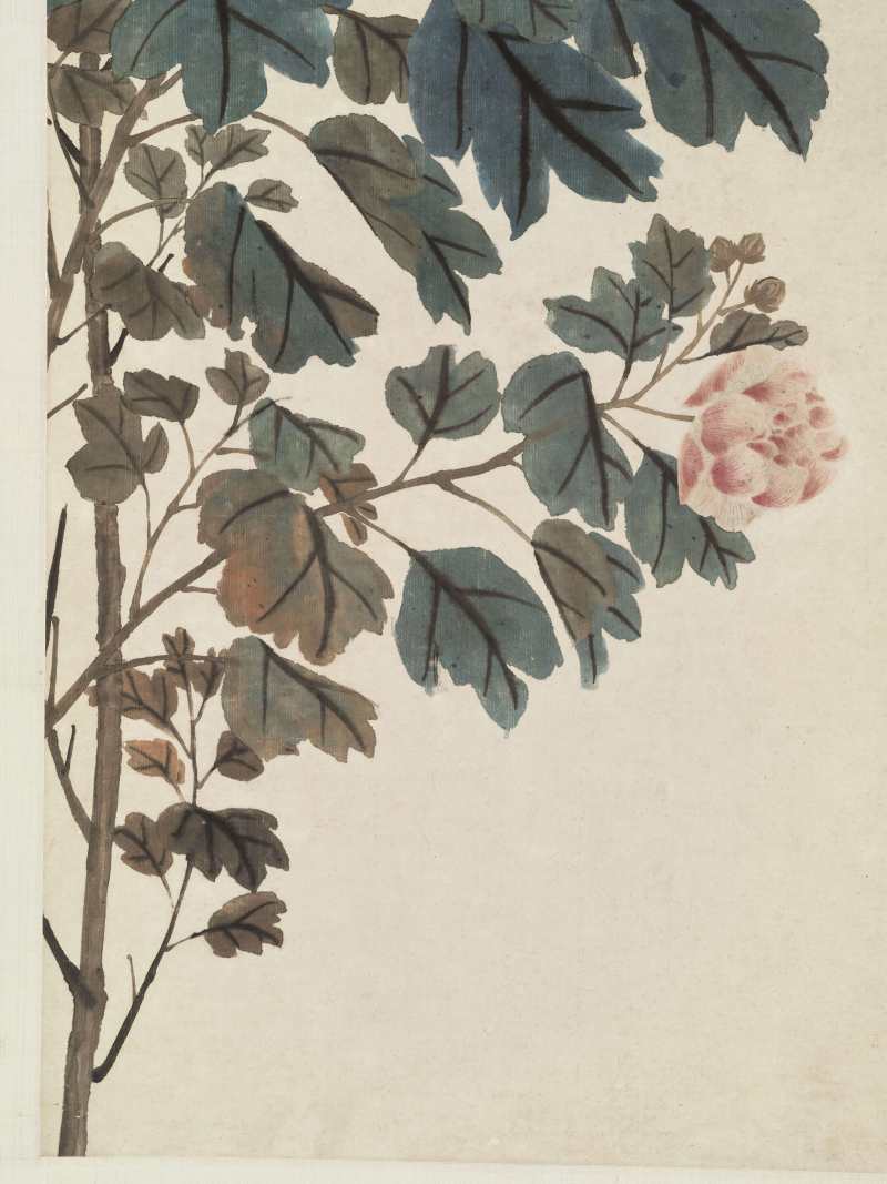 己未（1859年）作 张孟皋 芙蓉 - 图5