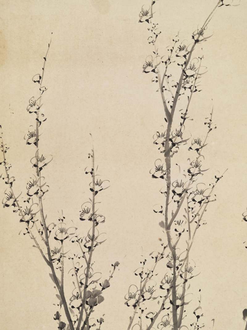 乙未（1895年）作 金心兰 墨梅 - 图11