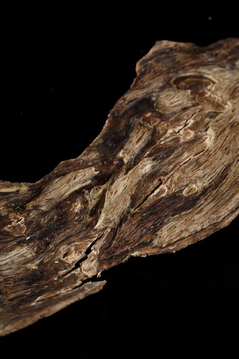 当代 广西虎斑奇 - 图5