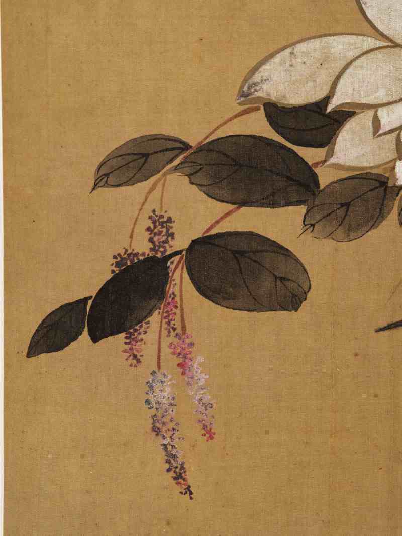 童原 写生花鸟册 - 图23