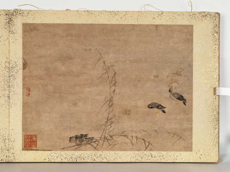 边寿民（款） 芦雁册 - 图29