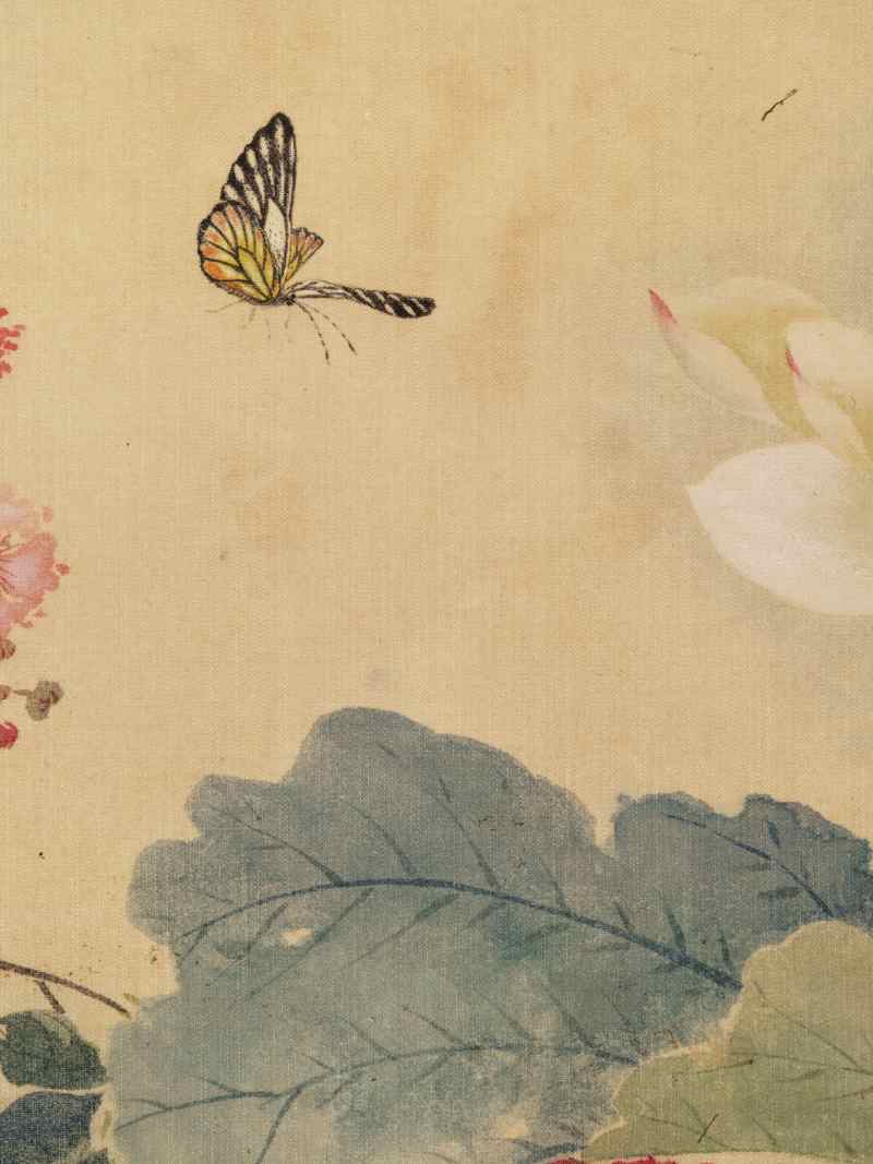 佚名 花鸟册 - 图13
