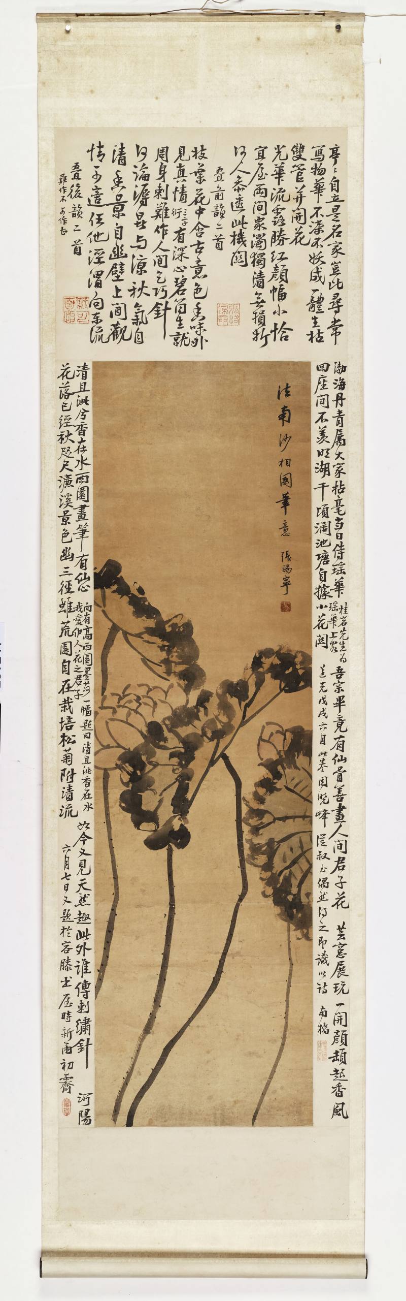 张赐宁 荷花 - 图2