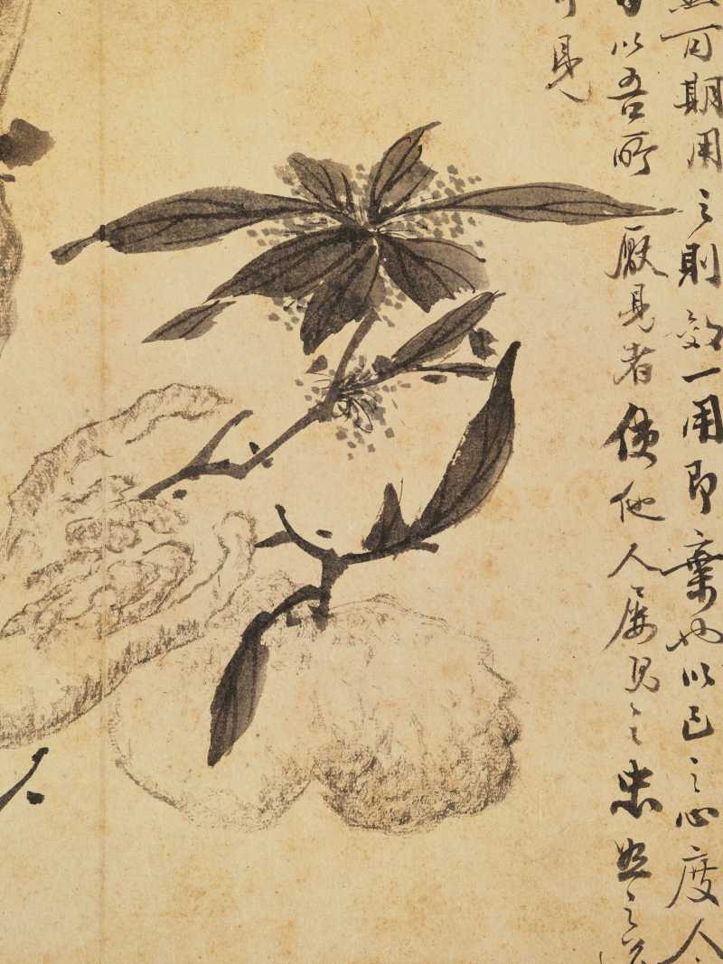 徐六桥 花卉册 - 图19