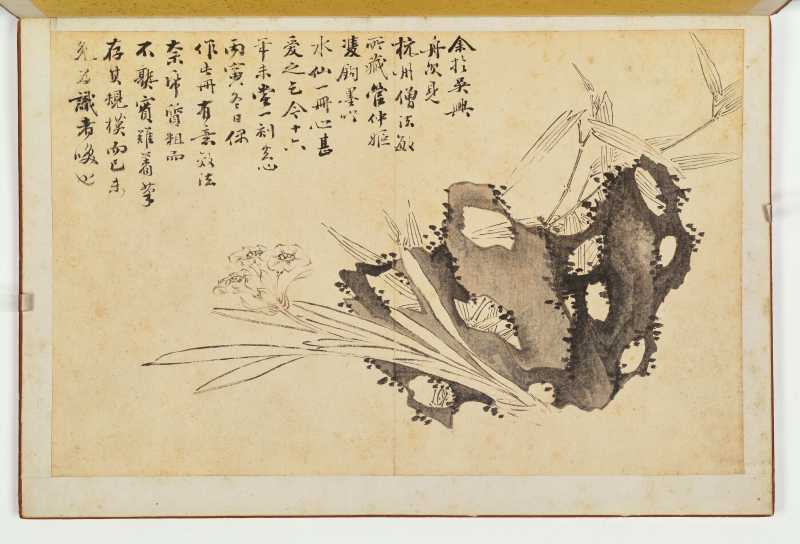 徐六桥 花卉册 - 图20