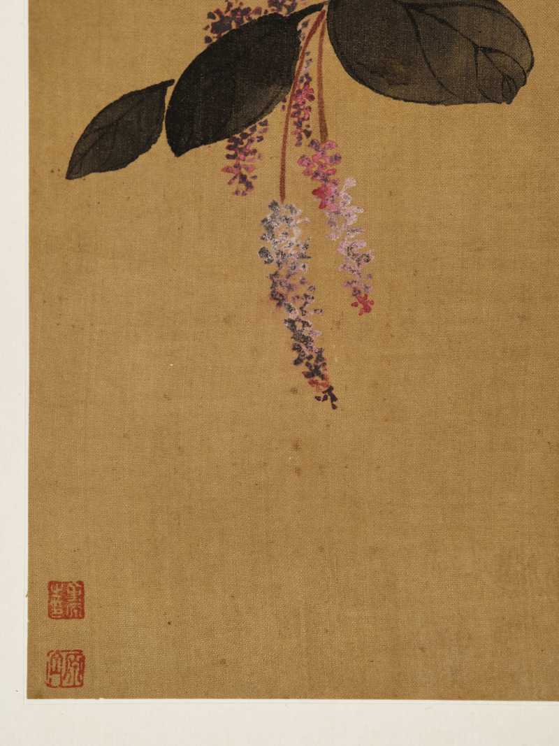 童原 写生花鸟册 - 图24