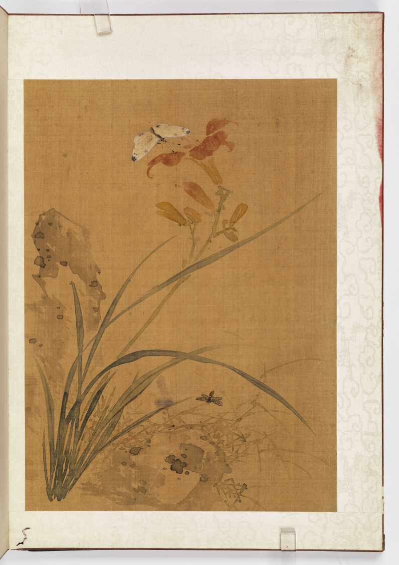 赵源 花鸟册 - 图20