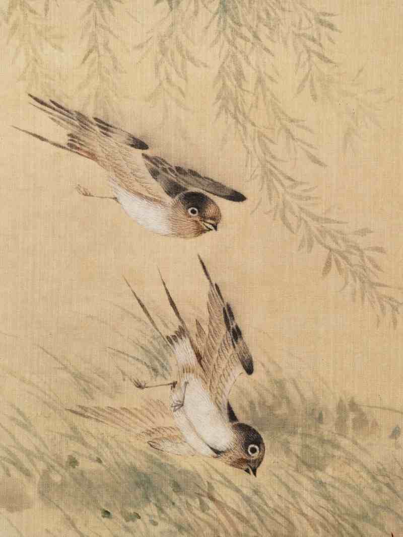 佚名 花鸟册 - 图20