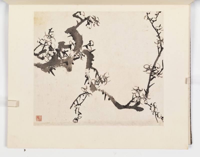 康熙甲子（1684年）作 温仪 梅花册 - 图13