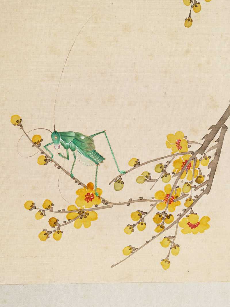丁酉（1897年）作 梁德润、孙毓汶 花卉草虫册 - 图27