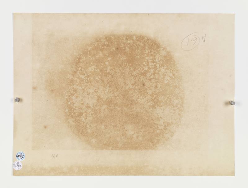 戊辰（1868年）、丙子（1876年）作 张熊 花鸟三帧 - 图22