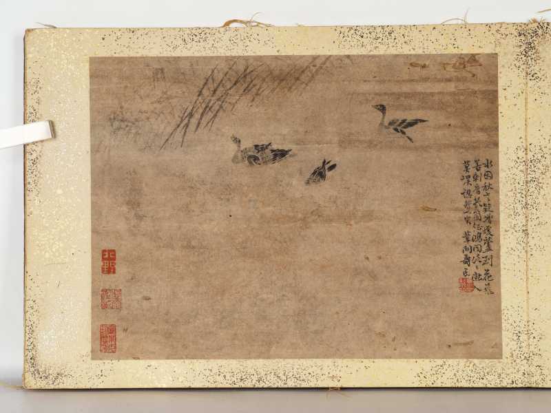 边寿民（款） 芦雁册 - 图33