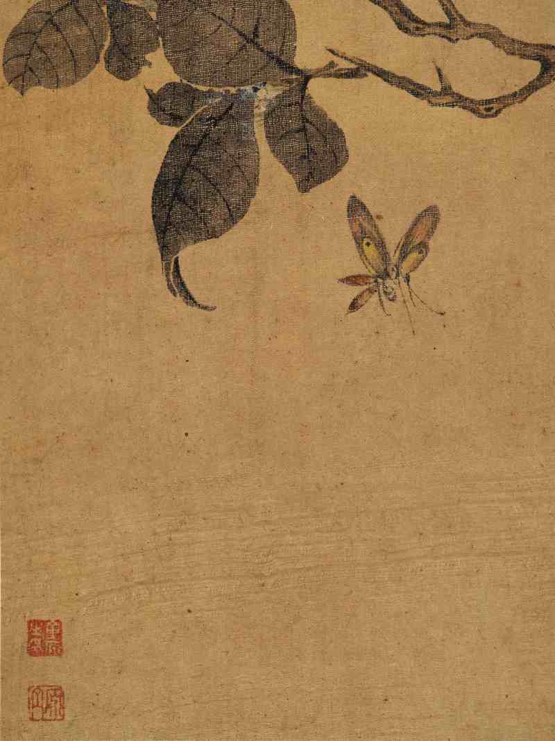 童原 写生花鸟册 - 图30