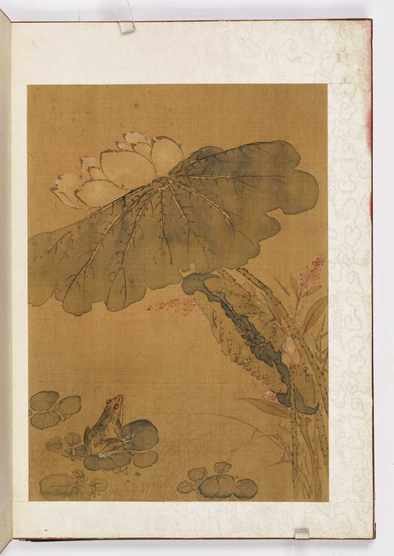 赵源 花鸟册 - 图24