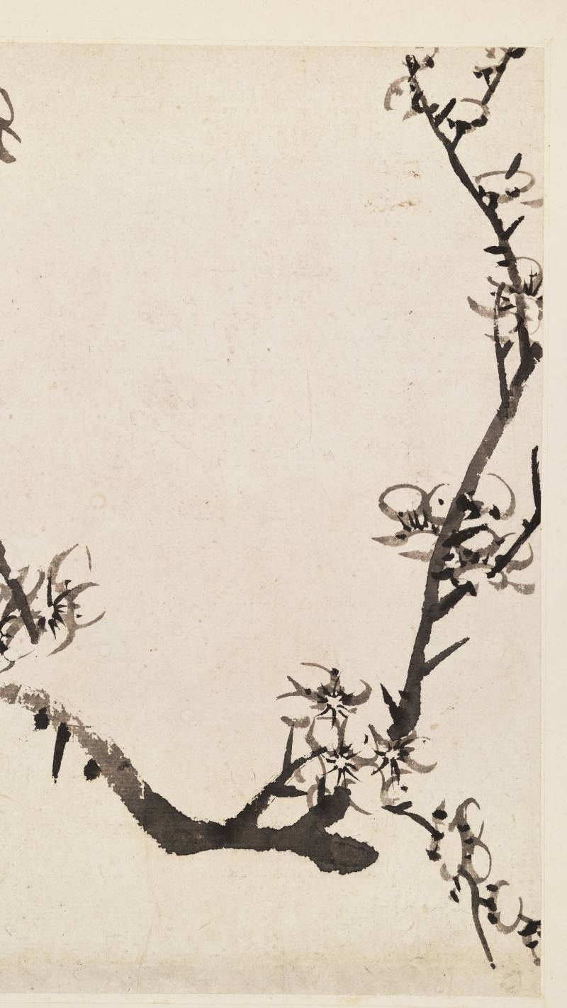 康熙甲子（1684年）作 温仪 梅花册 - 图14
