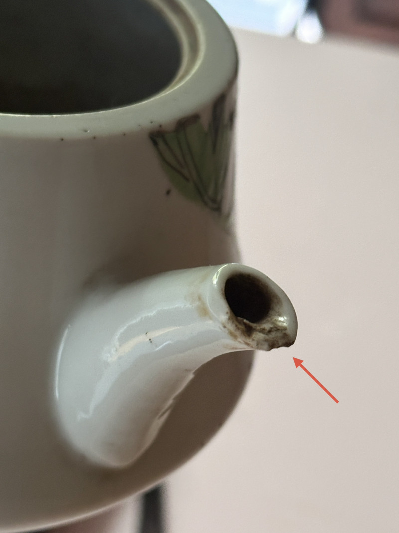 民国浅绛彩画花鸟茶壶 - 图11