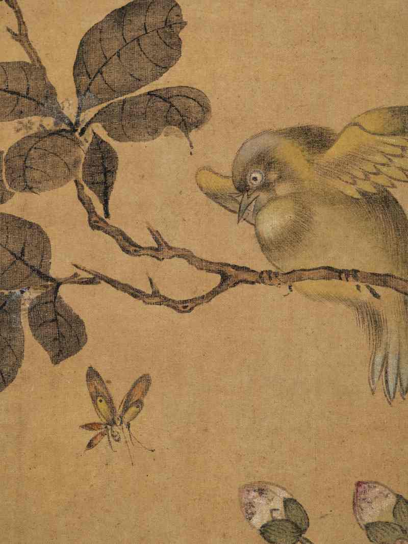 童原 写生花鸟册 - 图31
