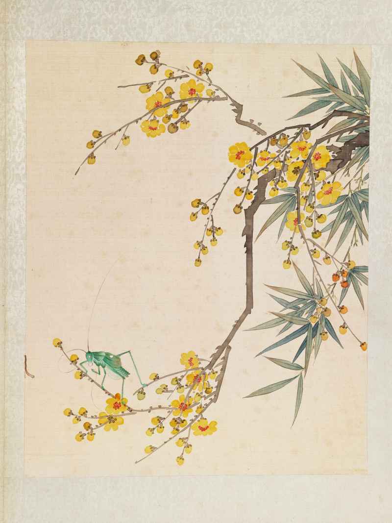 丁酉（1897年）作 梁德润、孙毓汶 花卉草虫册 - 图29