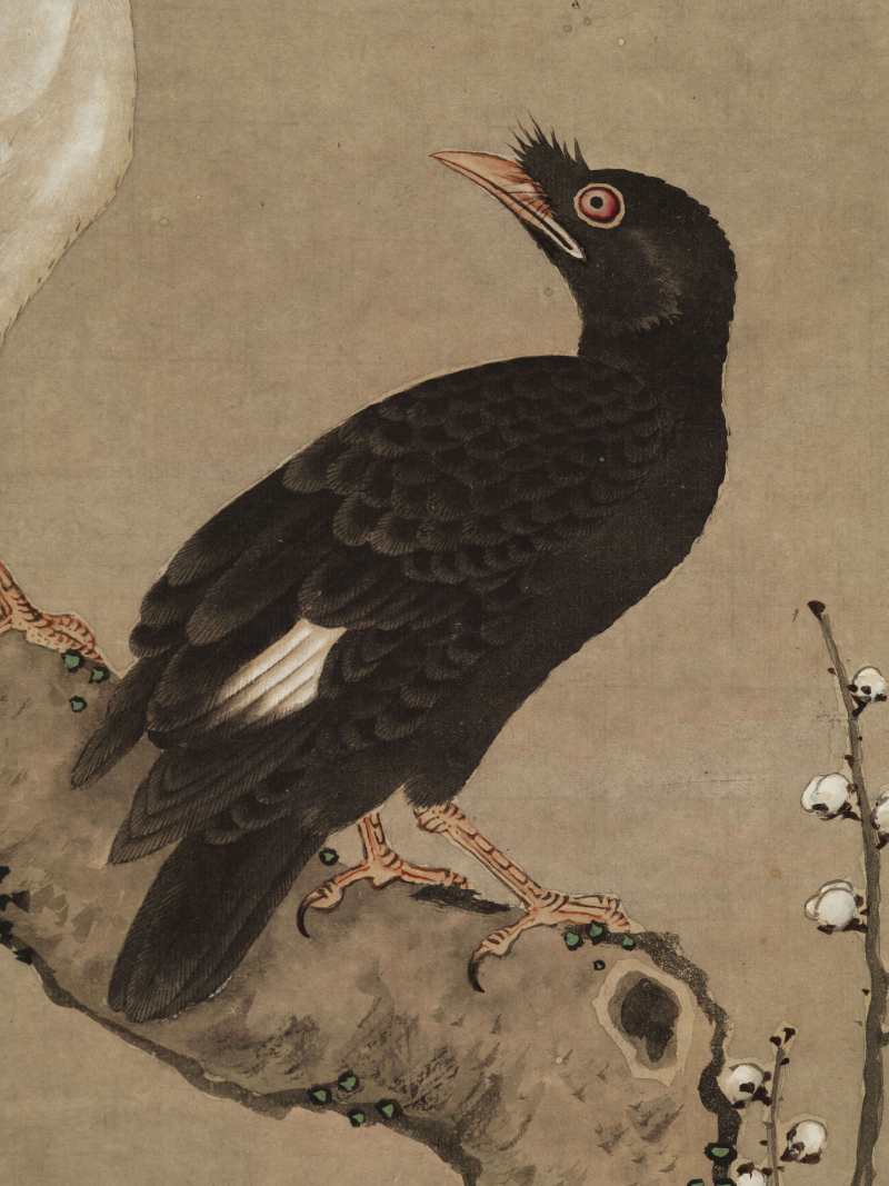 童衡（款） 梅雀鸳鸯 - 图13
