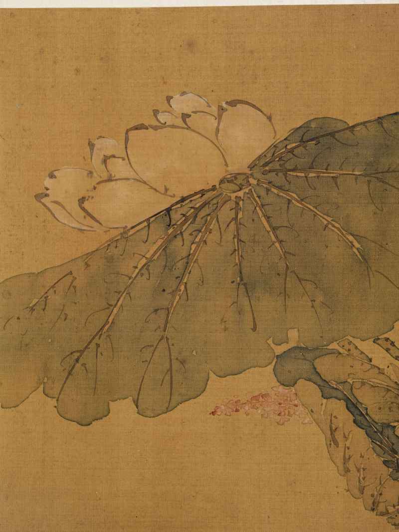 赵源 花鸟册 - 图25